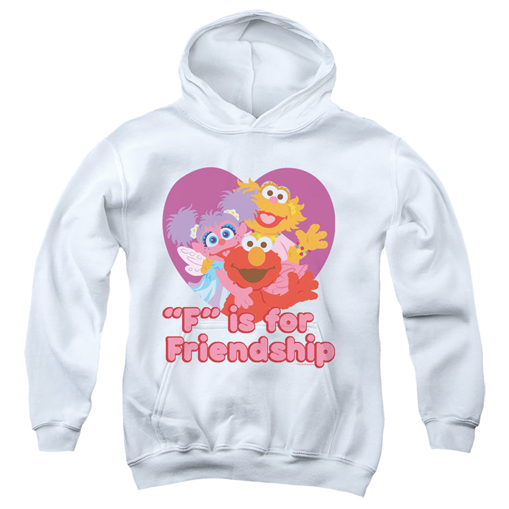Sesame Street Friendship Youth Hoodie