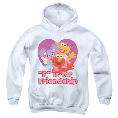 Sesame Street Friendship Youth Hoodie