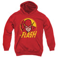 The Flash Flash Circle Youth Hoodie