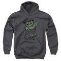 Sesame Street Early Grouch Youth Hoodie