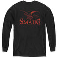 The Hobbit Dragon Youth Long Sleeve T-Shirt