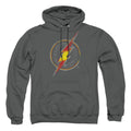 DC Comics Flash Busted Logo Pullover Hoodie