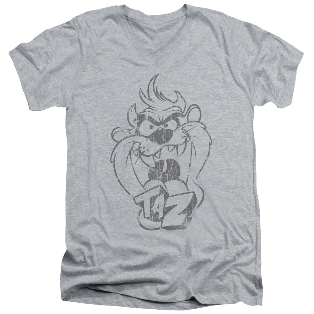 Looney Tunes Faded Taz V-Neck T-Shirt