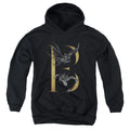 Batman B Youth Hoodie