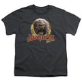 The Dark Crystal Aughra Circle Youth/Toddler T-Shirt