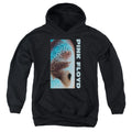 Pink Floyd Meddle Youth Hoodie