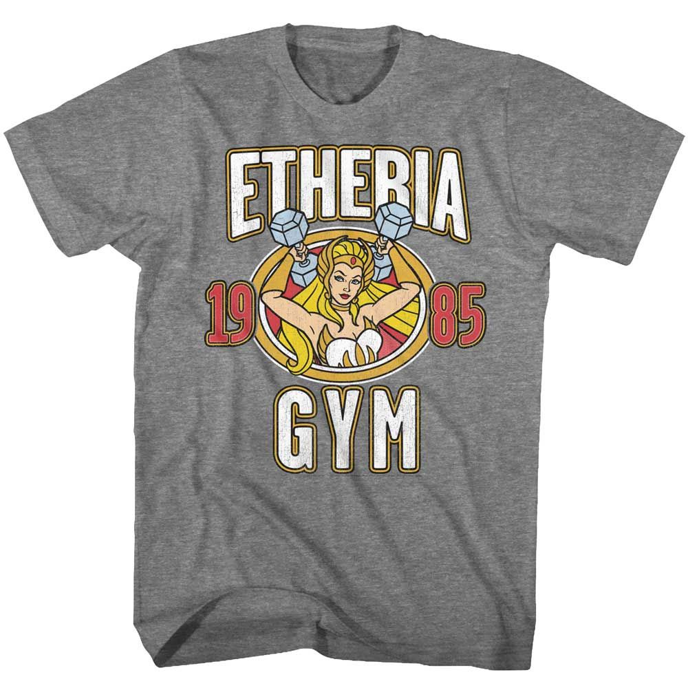 Etheria Gym Masters of the Universe t-shirt in graphite heather