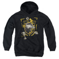 Harry Potter Hufflepuff Magicial Mischief Level Up Crest Youth Hoodie