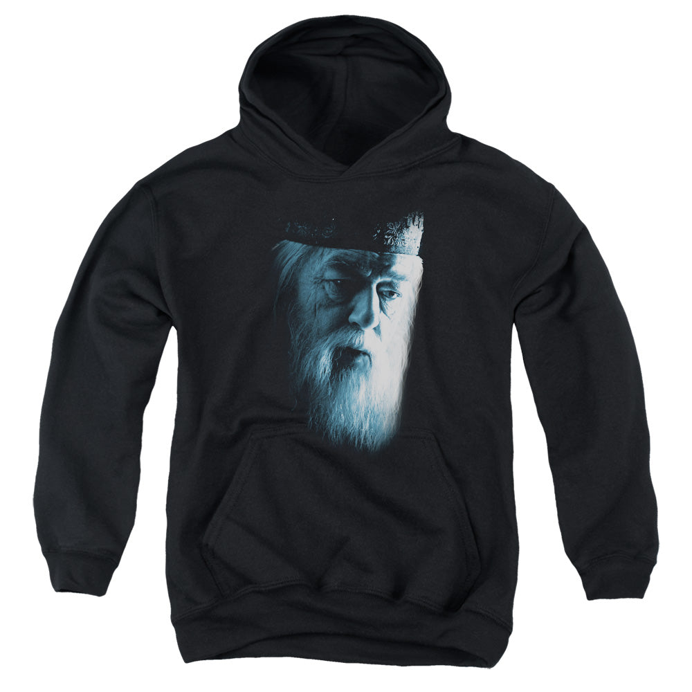 Harry Potter Dumbledore Face Youth Hoodie