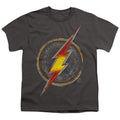 DC Comics Flash Busted Logo Youth/Toddler T-Shirt