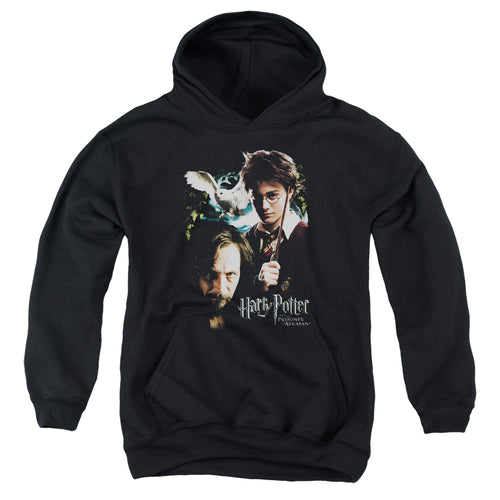 Harry Potter Harry And Sirius Youth Hoodie