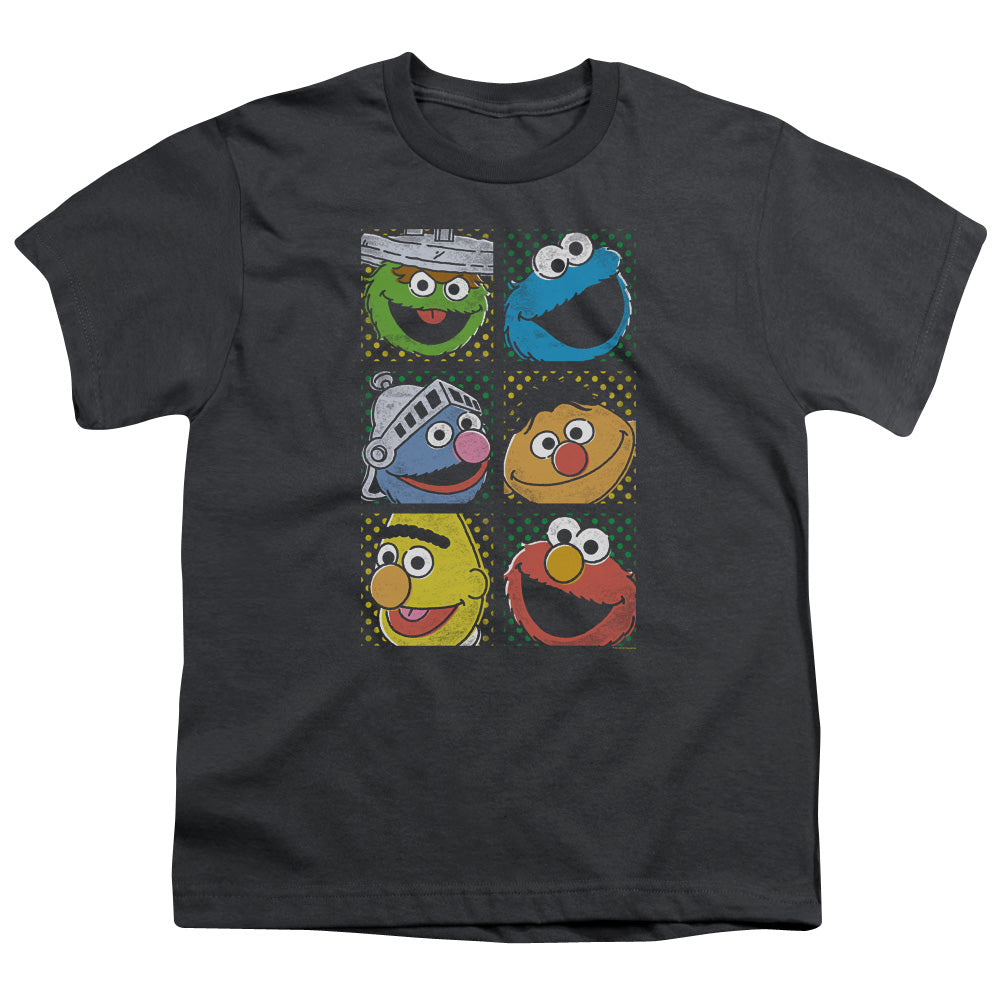 Sesame Street Group Squares Youth/Toddler T-Shirt