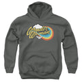 Wonder Woman Rainbow Script on Charcoal Youth Hoodie