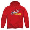 DC Comics Aqualad Pullover Hoodie