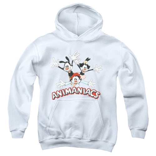 Animaniacs Animaniacs Trio Youth Hoodie