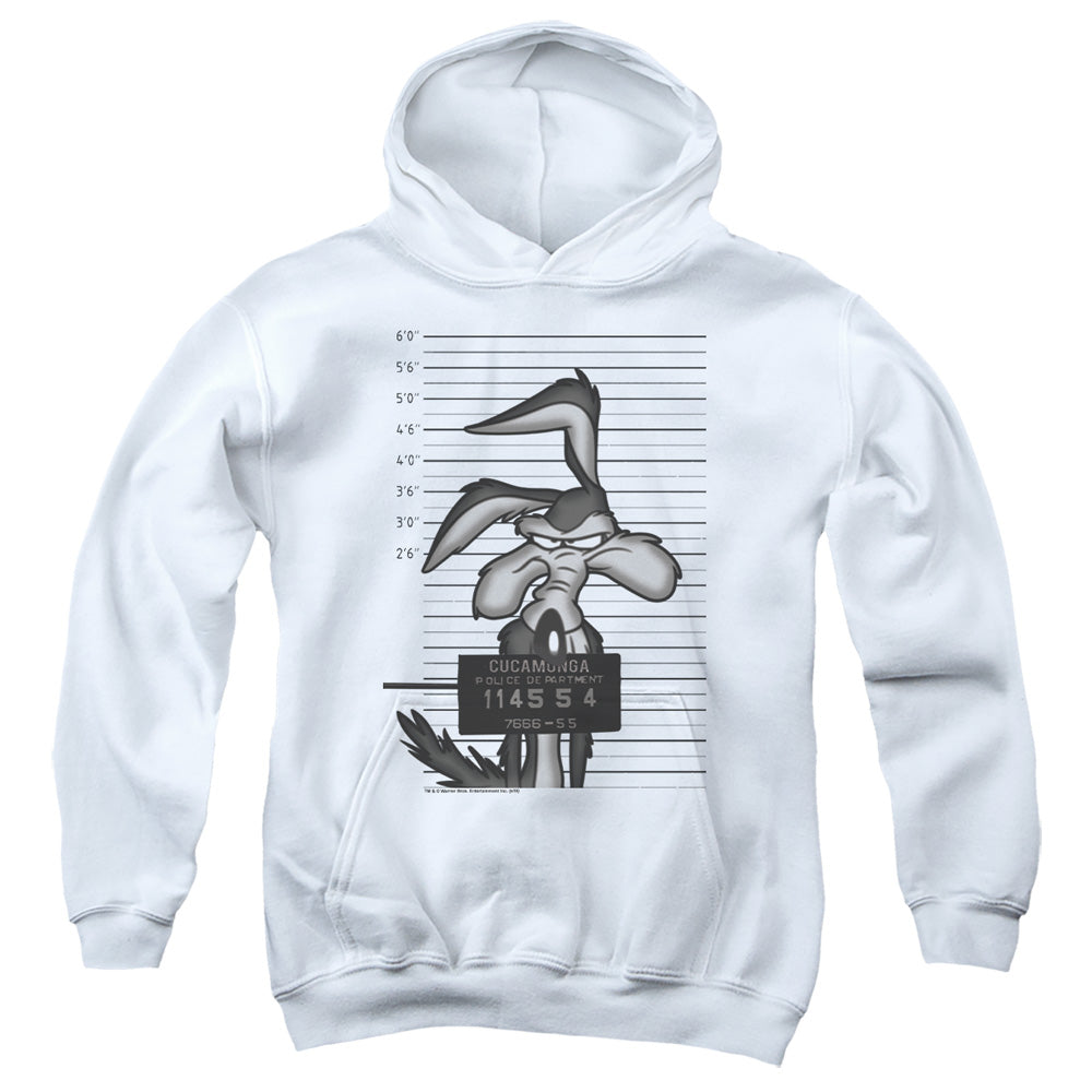 Looney Tunes Wile E. Coyote Busted Youth Hoodie