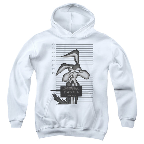 Looney Tunes Wile E. Coyote Busted Youth Hoodie
