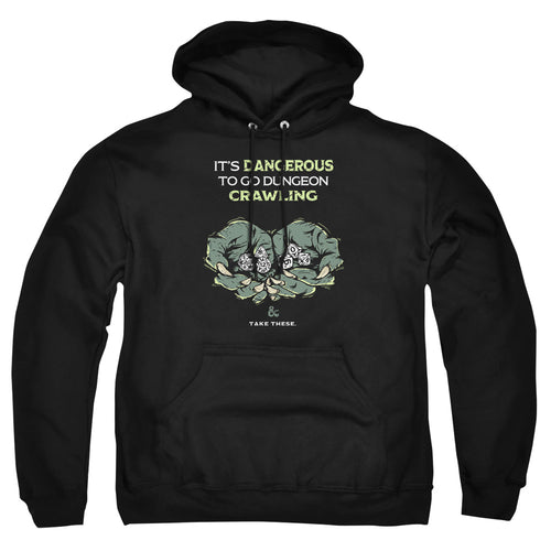 Dungeons & Dragons Dangerous to Go Alone Pullover Hoodie
