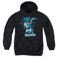Justice League Batman Blue & Gray Youth Hoodie