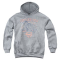 DC Comics Fooled You Youth Hoodie