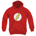 DC Comics Flash Distressed Youth Hoodie