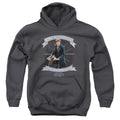 Fantastic Beasts Newt Scamander Youth Hoodie