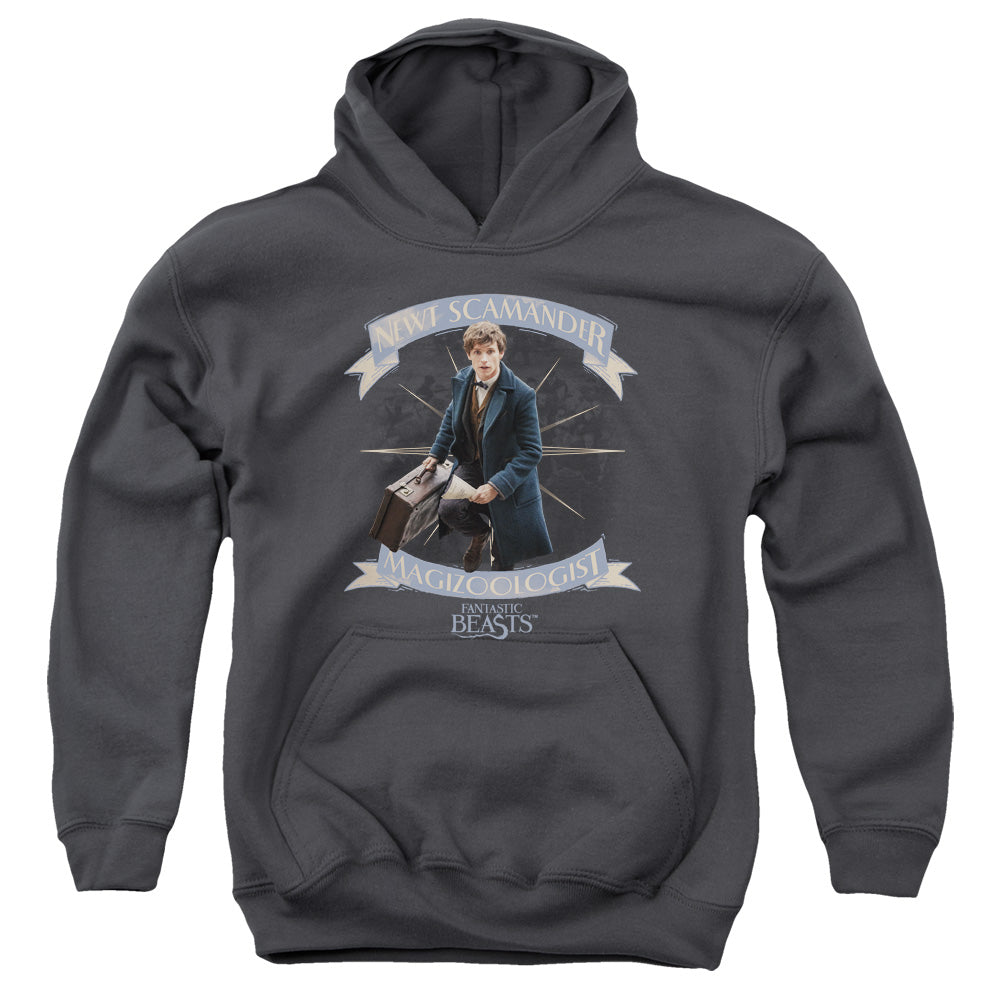 Fantastic Beasts Newt Scamander Youth Hoodie