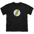 The Flash Flash Logo Youth/Toddler T-Shirt