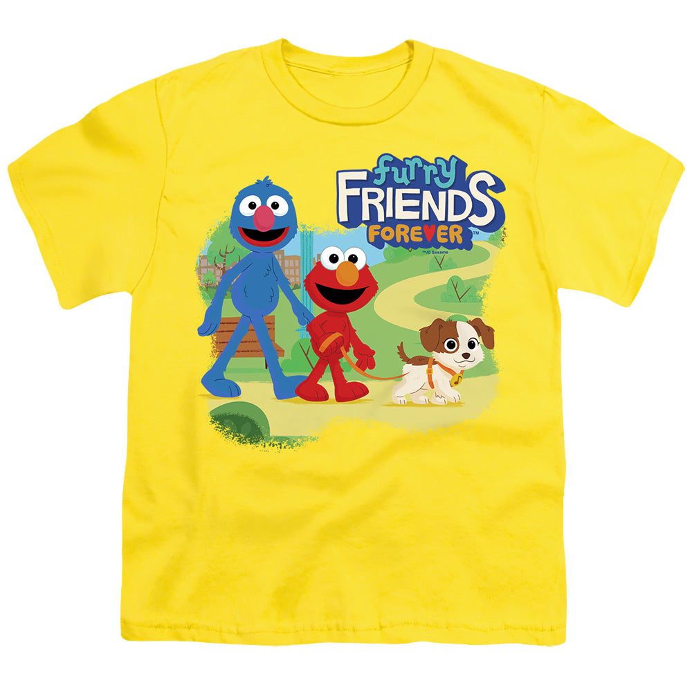 Sesame Street Take a Walk Youth/Toddler T-Shirt