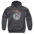 DC Comics At Your Service Youth Hoodie