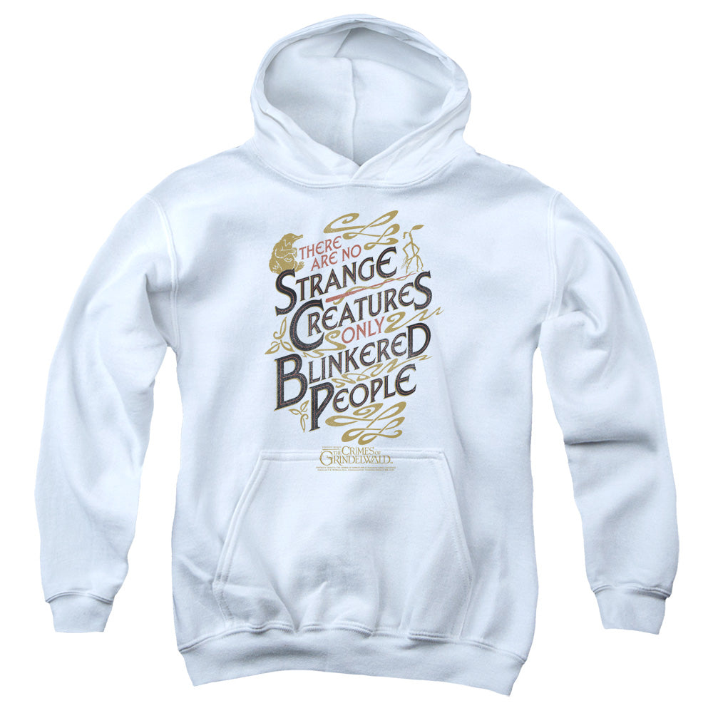 Fantastic Beasts Blinkered People Youth Hoodie
