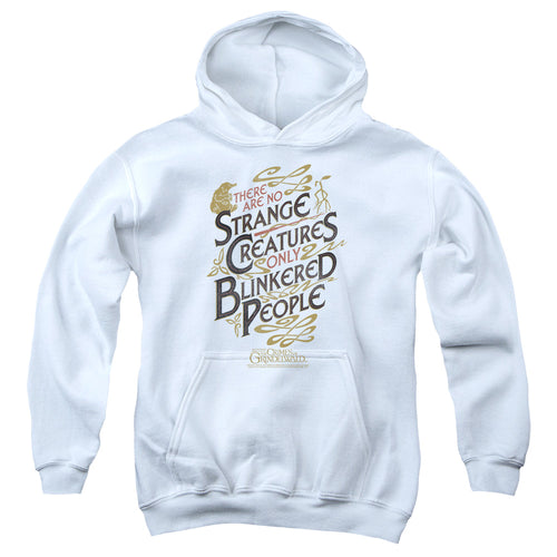 Fantastic Beasts Blinkered People Youth Hoodie