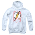The Flash Airbrush Bolt Youth Hoodie
