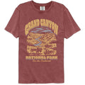 American Classics Parks Comfort Colors T-Shirt - Canyon See The Southwest