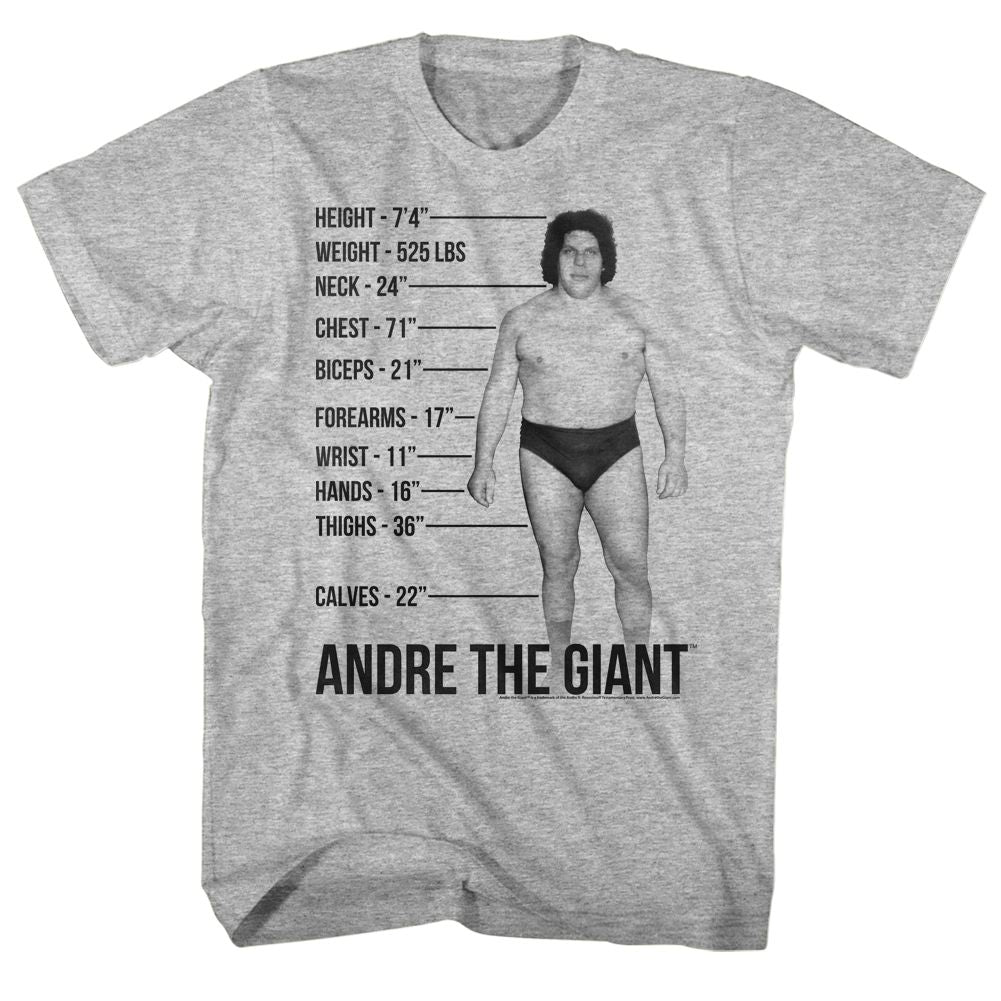 Gray heather Andre the Giant t-shirt featuring Andre the Giant Giant Specs glasses design
