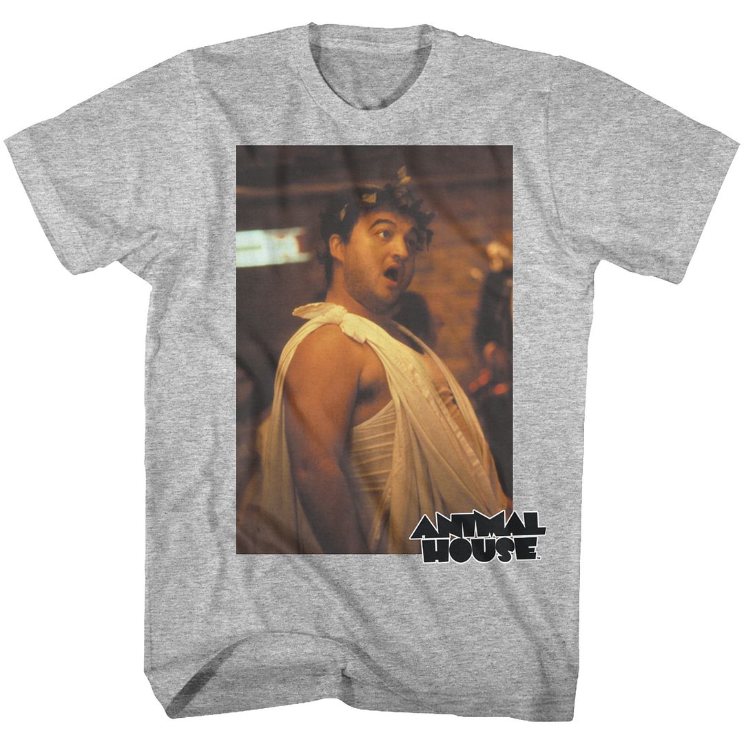 Gray heather Animal House t-shirt featuring Animal House Toga Photo party scene design