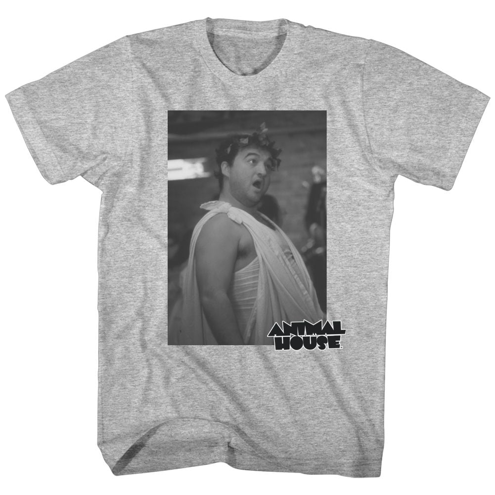 Gray heather Animal House t-shirt featuring Animal House Toga Photo party scene design