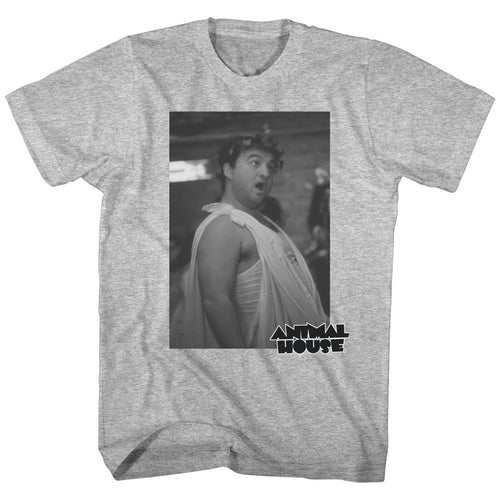 Gray heather Animal House t-shirt featuring Animal House Toga Photo party scene design