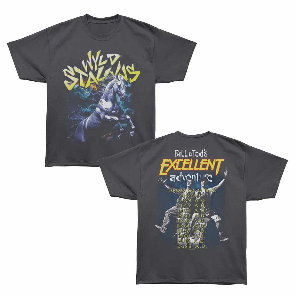 Bill & Ted's Excellent Adventure Oversized T-Shirt - Bnt Wyld Stallyns Tour