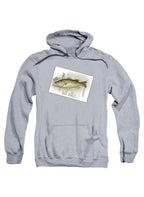 Gray Cleaning Fish Hoodie