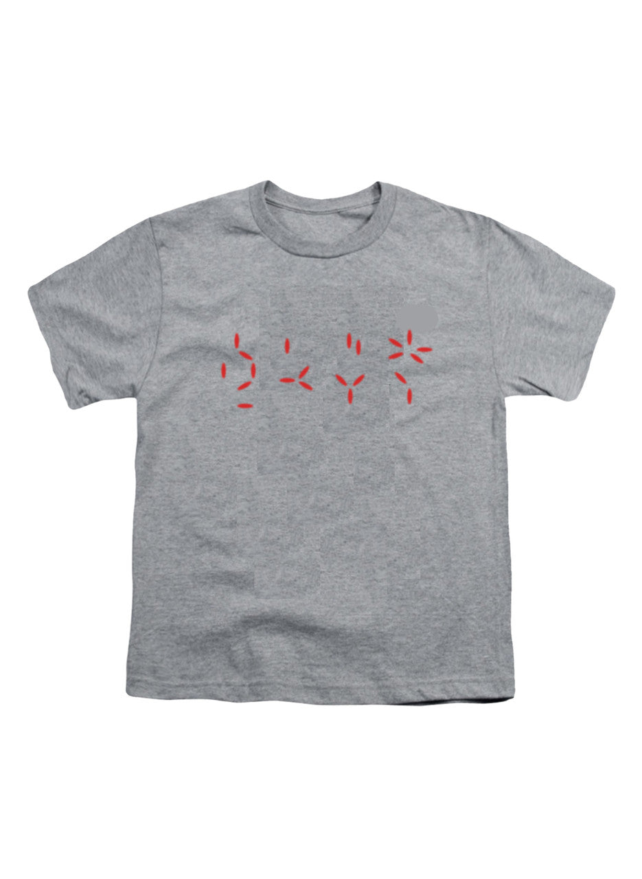 Gray Countdown Youth/Toddler T-Shirt