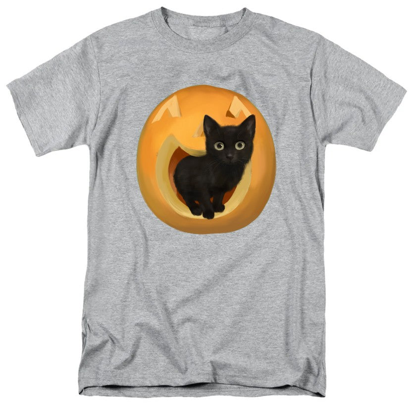 NCP-IM0572 Pumpkin Cat Gray AT