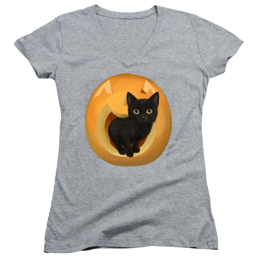 NCP-IM0572 Pumpkin Cat Gray JS