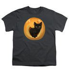 NCP-IM0572 Pumpkin Cat Charcoal YT