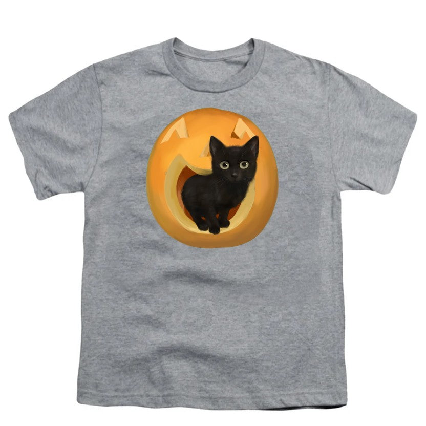 NCP-IM0572 Pumpkin Cat Gray YT
