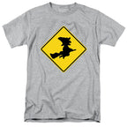 NCP-IM0573 Witch Crossing Gray AT