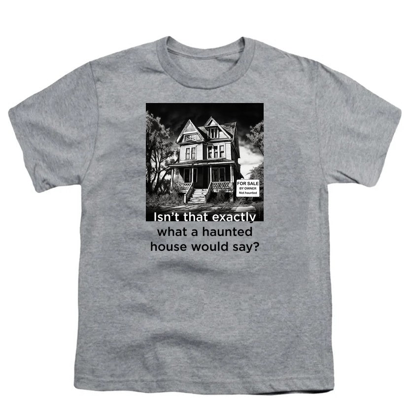NCP-IM0575 Isn't That Exactly What a Haunted House Would Say Gray YT