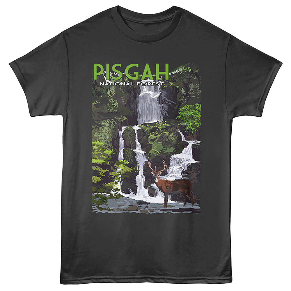 Lantern Press T-Shirt - Pisgah