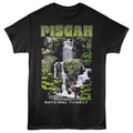 Lantern Press T-Shirt - Shadowed Pisgah