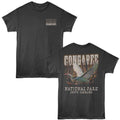 Lantern Press T-Shirt - Congaree Swamp Scene